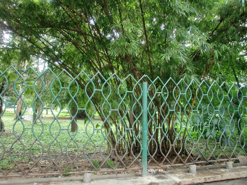 India Trip - July 2010 123.jpg